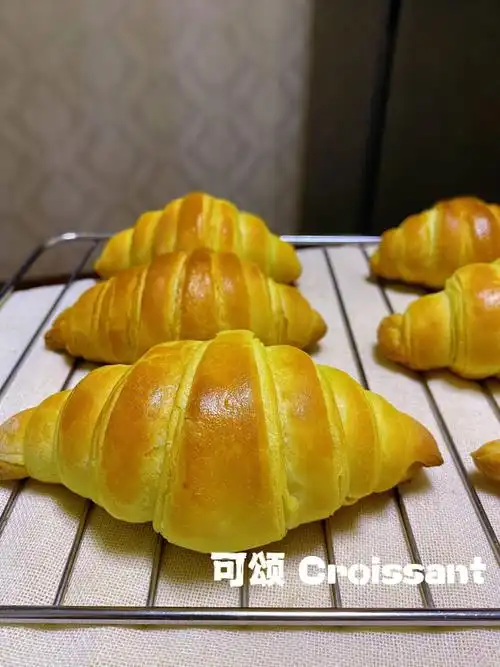 太爱了就是做法太麻烦了 多次折叠反复冷藏.讲究技巧也耗时间.