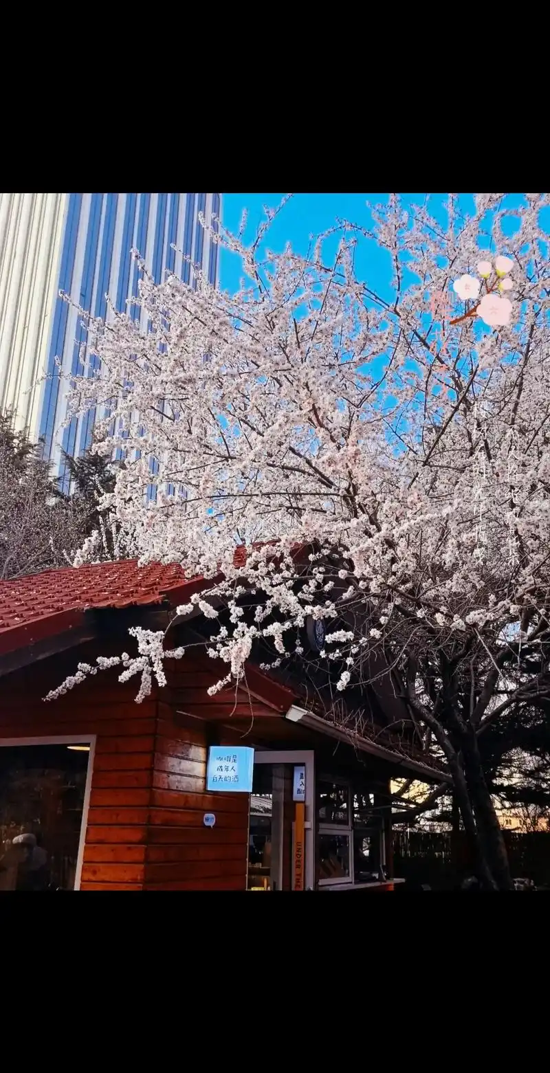 "无我"的究竟到底是什么,我举个例子,比如你是一个恋爱脑