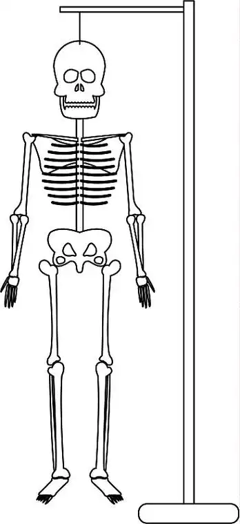 人体骨骼图标图像图片下载