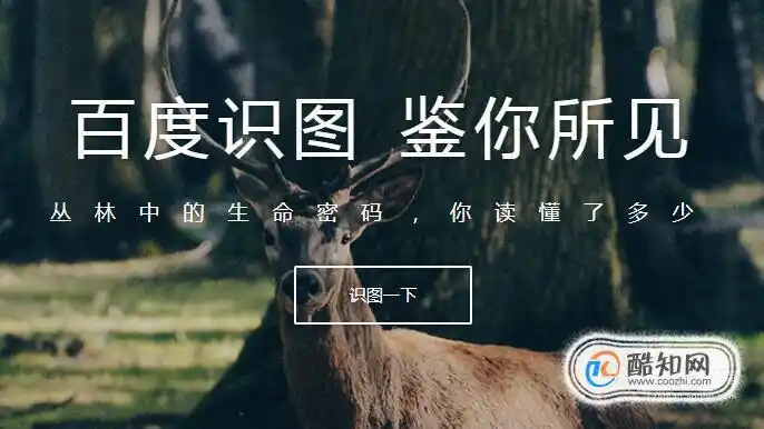 如何使用百度识图功能识别图片优质