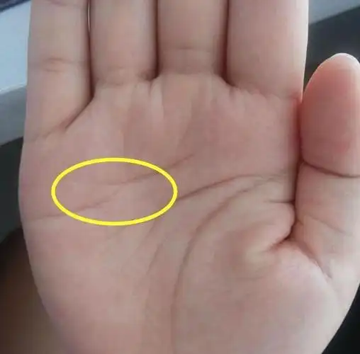 会离婚的手相(有几段婚姻手掌看哪里)