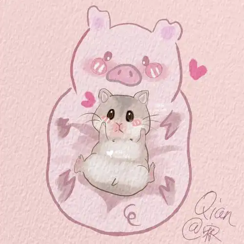 情侣头像卡通猪鼠手绘原创可爱生肖系列