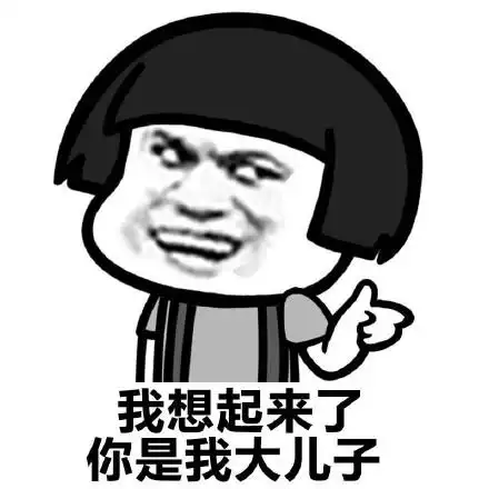 我想起来了,你是我大儿子 - 斗图表情包 - 斗图达人