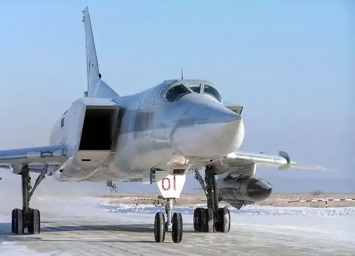 俄轰炸机沿日本领海演习(图片7)精美图片