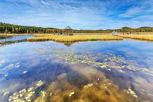 河北围场县塞罕坝国家森林公园内的七星湖草原湿地秋色