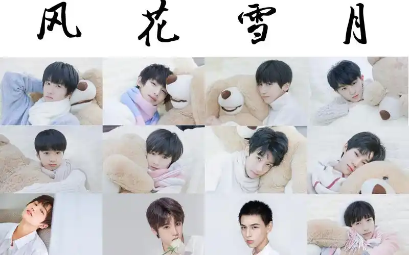 【风花雪月】tf家族二代全员向