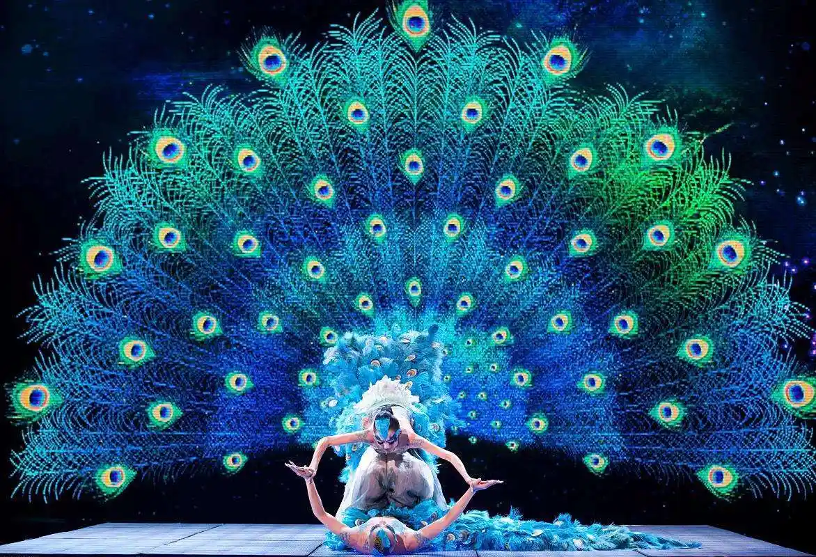 舞蹈艺术家杨丽萍表演的孔雀舞