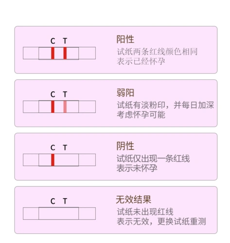 金秀儿验孕棒早早孕测试卡2支装精准测量怀孕检测测孕试纸卡备孕早