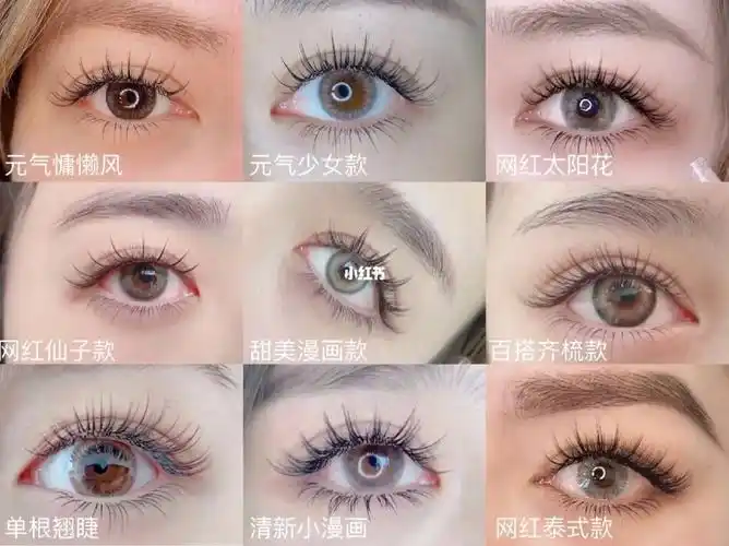 睫毛款式