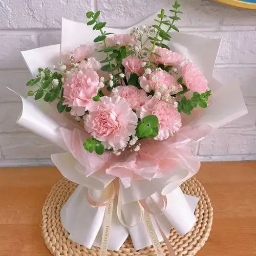 母亲节康乃馨小花束鲜花玫瑰向日葵单支上海同城速递配送花店七夕9朵