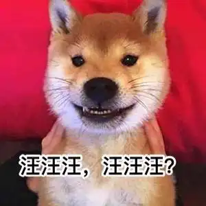 汪汪汪汪汪汪汪星人中最可耐的还是dogedoge萌萌哒表情