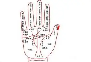 事业线图解,手相事业线怎么看?