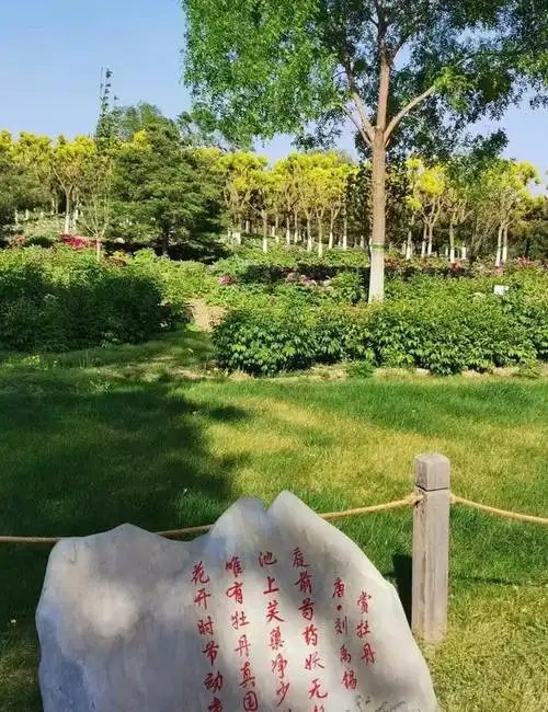 长阳公园位于北京市房山区长阳镇,是房山区最大的公园之一,占地面积