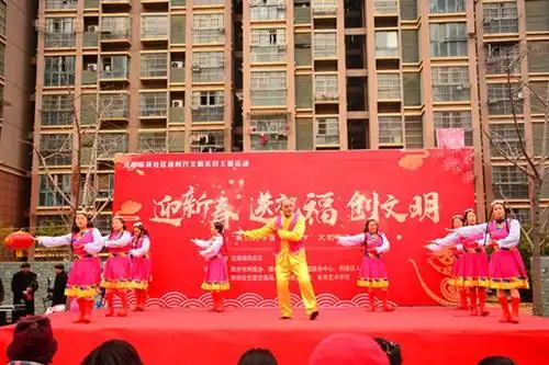 龙蟠南苑社区开展"我们的节日·春节"主题活动