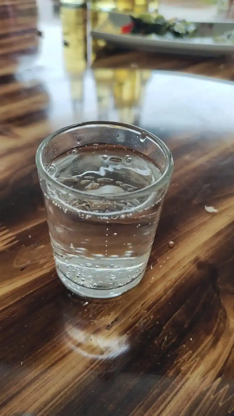 唯有喝酒解千愁 #杯中倒满无情酒 #小酒解心宽 #其实酒不好喝