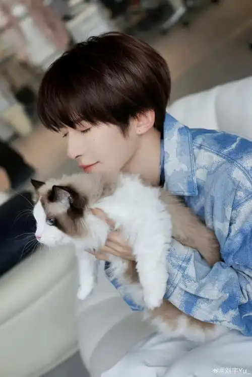 刘宇抱猫照
