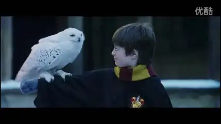 【竹笛-海德薇主题-hedwigs theme-哈利波特与魔法石】吹着恶魔的