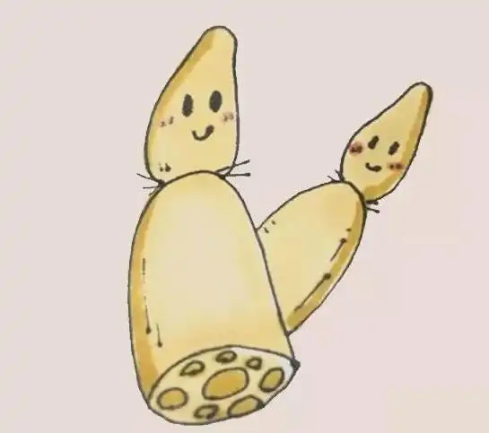 可爱的莲藕简笔画彩色画法步骤图解教程