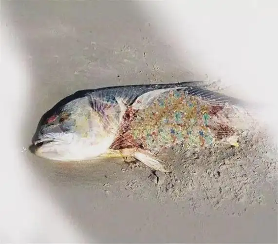 超市这些食物被曝含微塑料和砒霜!或影响智力和免疫,导致癌症!