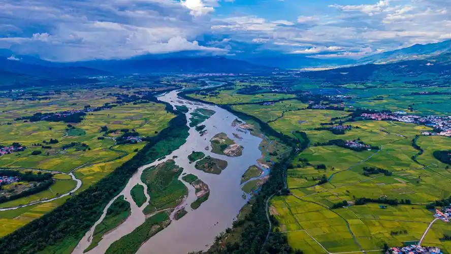 云南盈江沃野金黄 - 南粤传媒网