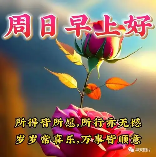2023年9月24日早安温馨祝福图片,早安问候语表情包大全,周末愉快!