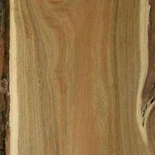 农村常见的洋槐木有什么用处?