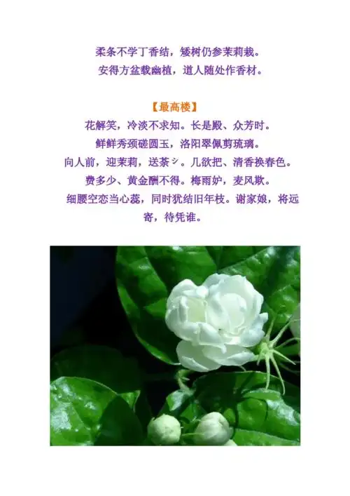 中国古诗词茉莉篇doc11页