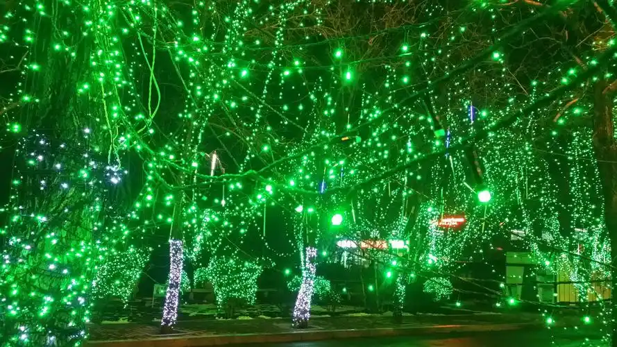 苏家屯的夜景(实拍)