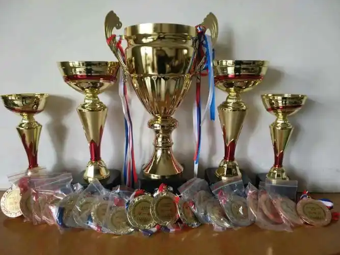 2017年河北省体育舞蹈锦标赛获得的奖杯