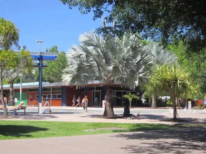 挂在树上靠吃芒果为生的一排排超大蝙蝠今生第一次看到,有点起鸡皮