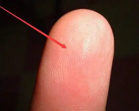 手相面相-十指全是簸箕纹路的人性格如何-风水八字同城网