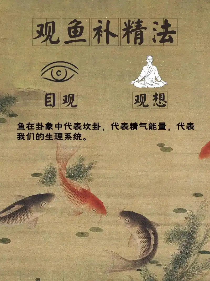 观鱼补肾法.道家的很多东西是借助象来修观的.为什么要观想,存 神?