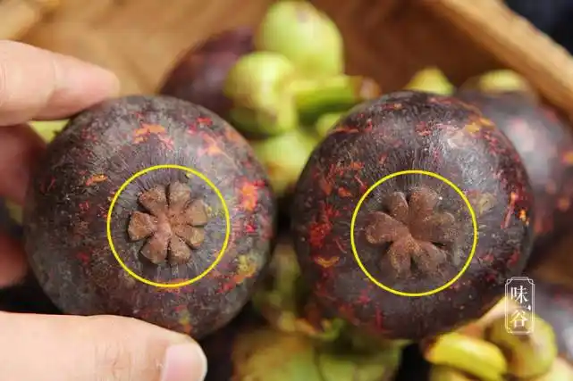 买山竹时要学会这4点一挑一个准肉多核小汁水多还新鲜