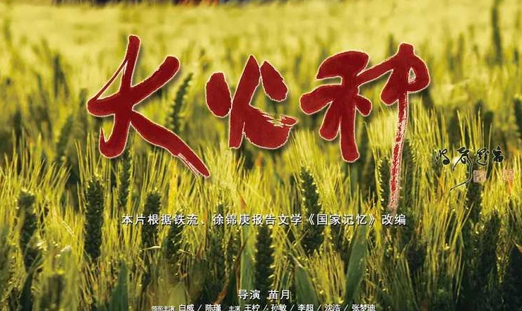 电影大火种中刘雨心这本书的名字是什么?