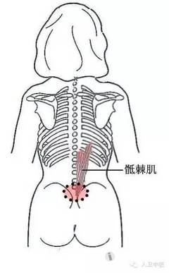 对骶棘肌下段损伤诊治的经验交流 - 麻醉及疼痛专业讨论版 - 爱爱医医
