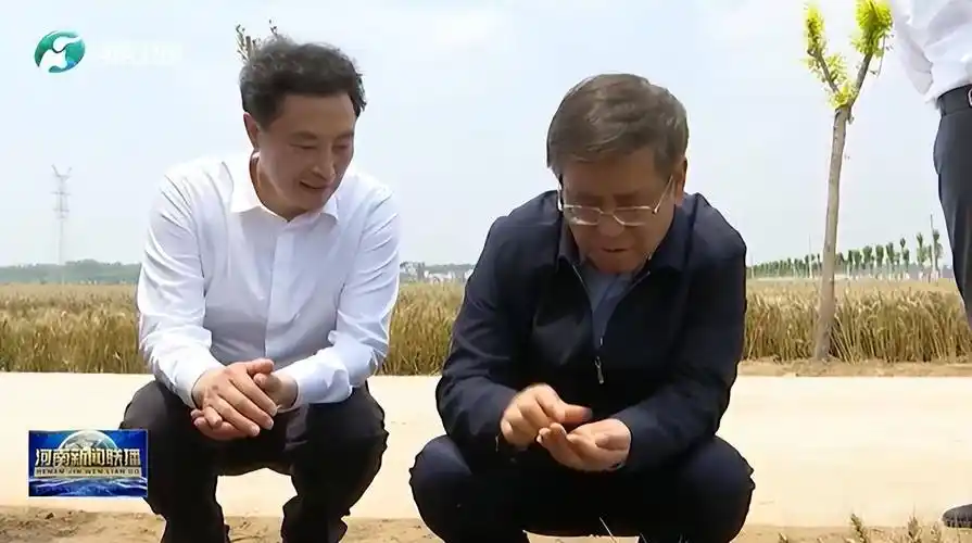 河南省省长:麦收工作是全省当前头等大事_保障_王凯_小麦
