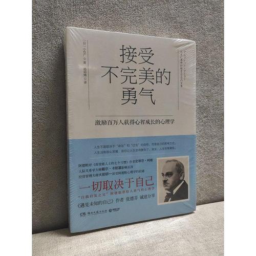 【正版】接受不完美的勇气  未开封真品 湖南文艺出版社9787540472986