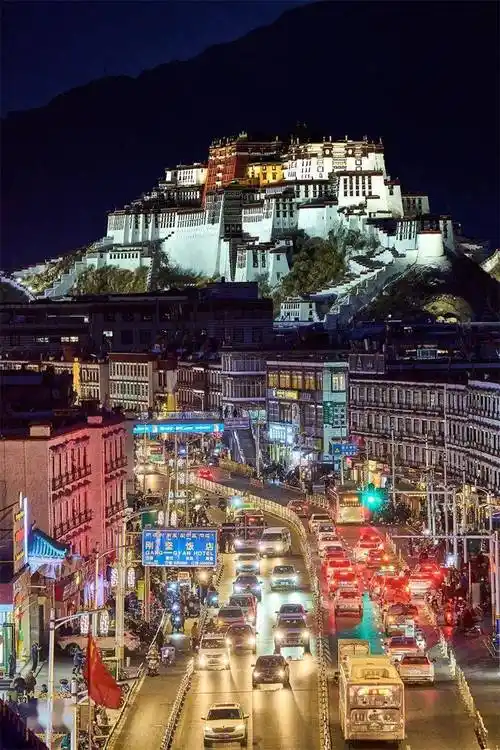 夜幕下的布达拉宫_进行_画面_镜头