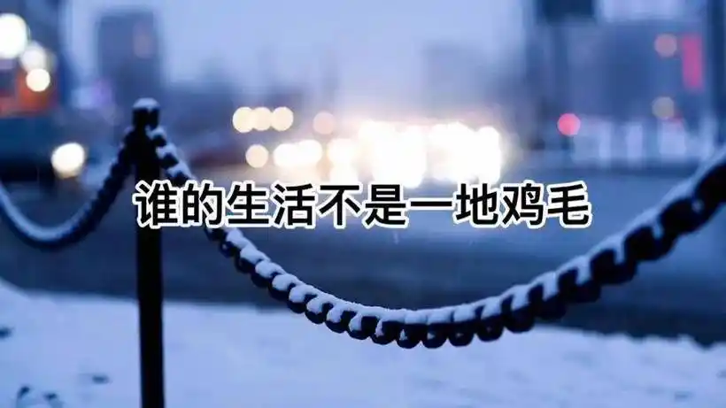 由"下辈子不来了"引起的"谁的生活不是一地鸡毛"_老百姓_心声_故事