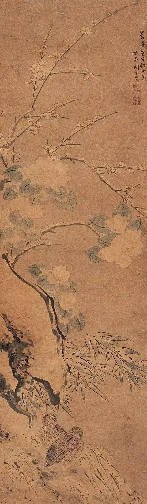 吴门画派周之冕花鸟画作品欣赏