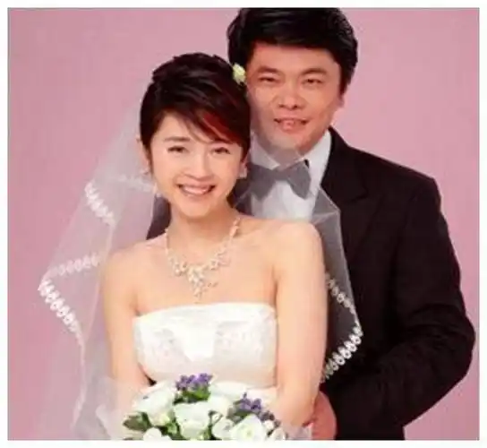 丁健与主持人许戈辉相恋向妻子提出离婚额外给一亿补偿