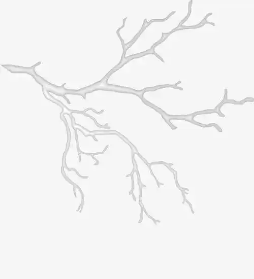 笔画大树树干树枝简笔画一棵枯树简笔画步骤漂亮的梅花树枝简笔画图片