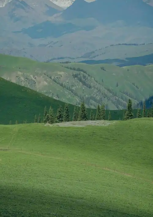 伊犁那拉提空中草原