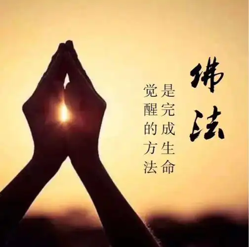 【人们信佛就是桥上的栏杆】