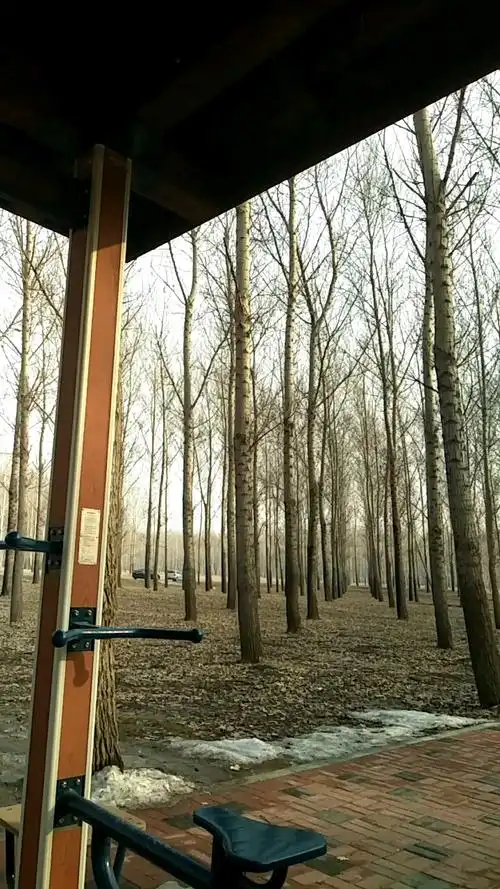 大美新民之森林公园