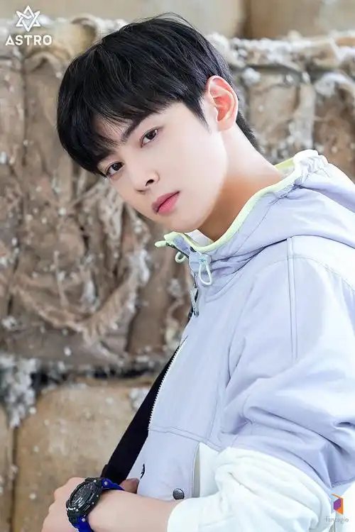 可爱的帅气的车银优