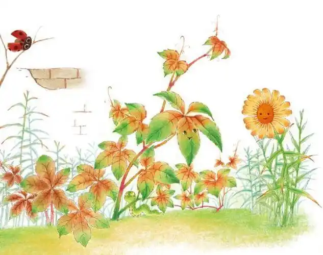 【嘟嘟熊9月故事速递】爬山虎,爬呀爬