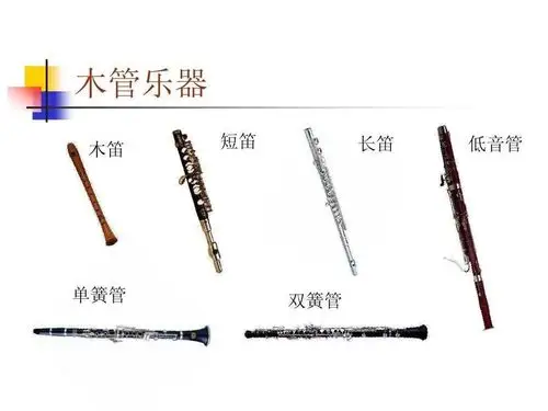 其它 丹的美篇 写美篇木管组:短笛,长笛,双簧管,大管,单簧管(bb) 铜管