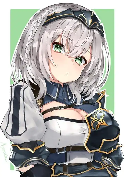 白银诺艾尔推特图20张