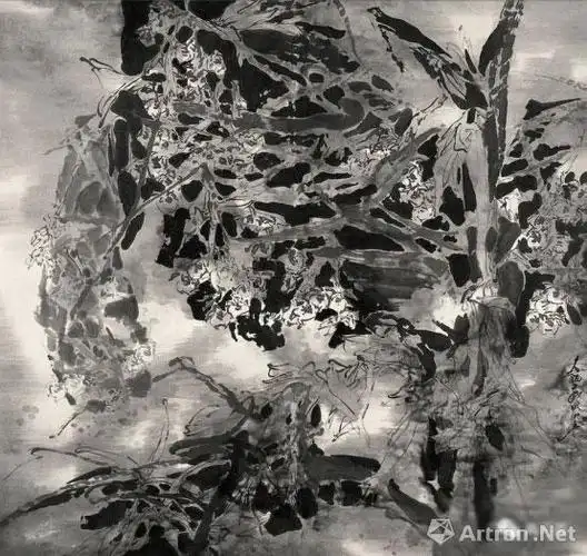 中央美术学院姚舜熙教授西双版纳热带雨林创作性花鸟写生系列作品欣赏